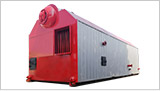 Biomass coal fired boiler